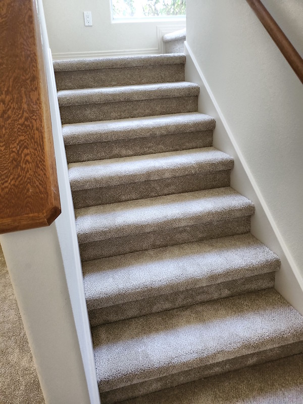 New carpeting on stairs after water damage.